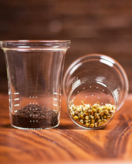 Replacement glass filter