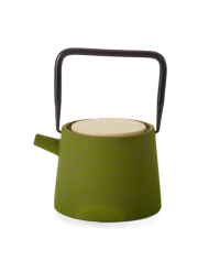 Cast iron teapot teapot Luyang