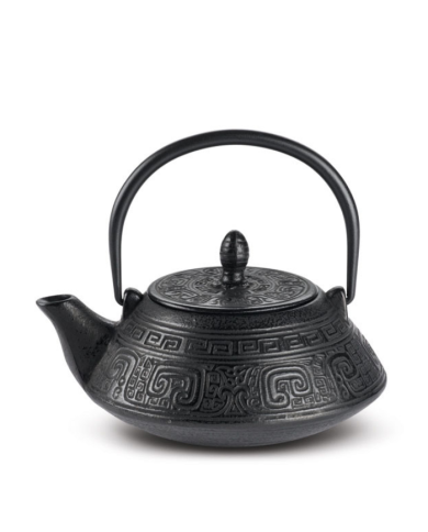 Cast iron teapot Sanpai