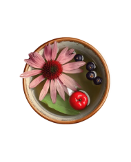 Yogi tea Immune support  BIO