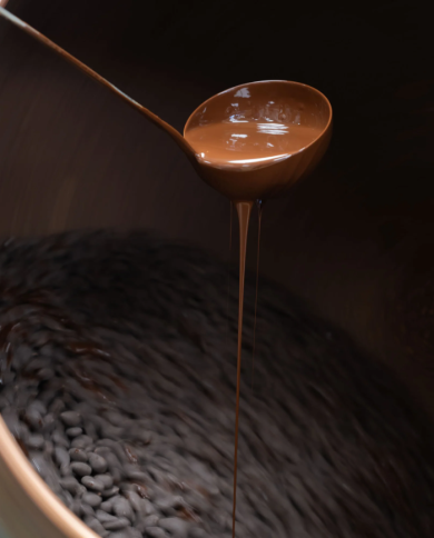 Mexican -  roasted almonds in 75% chocolate